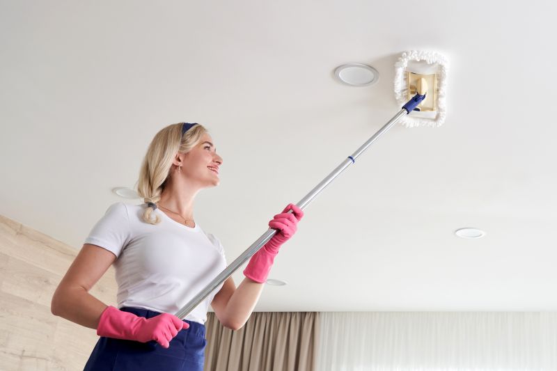 Ceiling Cleaning Process
