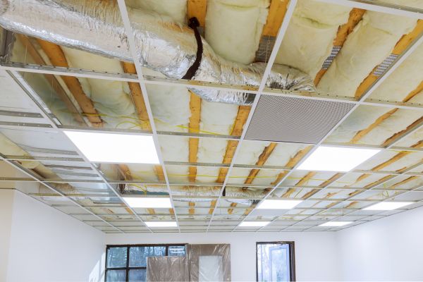 Suspended Ceiling Removal